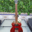 Epiphone genesis standard - Maxon - 1979-1981