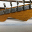 Mástil Stratocaster All Parts