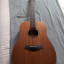Taylor BBTE walnut electroacustica