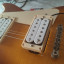 Pareja humbuckers Bareknuckle HolyDiver