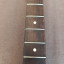 Mástil Stratocaster All Parts Nitro