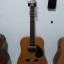 Guitarra acustica Ibanez OT-310