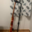 Edwards Les Paul E-LP-125SD Vintage Honey Burst