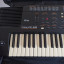 Sintetizador/Teclado Roland E68