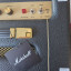 Marshall SV20C (CAMBIOS dentro)