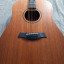 Taylor BBTE walnut electroacustica