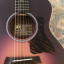 Taylor GS mini 50th anniversary