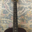 Taylor GS mini 50th anniversary