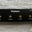 Amplificador Palmer Fat 50