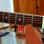 Ibanez AF55 Custom