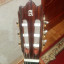 Guitarra Alhambra 4P