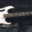 Ibanez Jem+ Fernandes Sustainer Réplica Flo