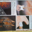 Fender Frontline 2003