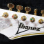 Ibanez Jem+ Fernandes Sustainer Réplica Flo