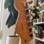 Fender Stratocaster Lite Ash (Corea)