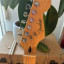 Fender Stratocaster Lite Ash (Corea)