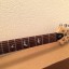 PRS SE CUSTOM 24