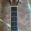 Guitarra Acustica TAYLOR GC-3 + Pastilla Fishman