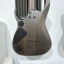 Ibanez RGD71ALPA CKF Axion Label