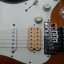 Fender Stratocaster American Classic Floyd Rose