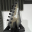 Ibanez RGD71ALPA CKF Axion Label