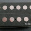 Schecter humbucker set