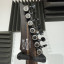 Ibanez RGD71ALPA CKF Axion Label