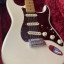 Fender Stratocaster  profesional am II
