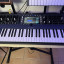 Waldorf Iridium keyboard + bancos (env incl)
