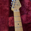 Fender Stratocaster  profesional am II