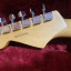 Fender Stratocaster  profesional am II