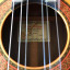 Guitarra clásica de estudio Juan Álvarez modelo Y-18c