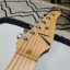 Tom Anderson hollow drop top classic