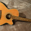 Guitarra Takamine EG540C + Funda rígida