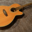 Guitarra Takamine EG540C + Funda rígida