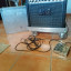 Amplificador Engl Thunder 50 con flay case y pedal de expresion