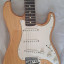 Fender stratocaster mex
