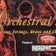 Roland SR JV-80 Orchestral II