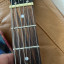 Epiphone Century Inspired by 1966