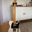 RESERVADA Fender Telecaster Made in Japan 1994 - 95
