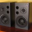 MONITORES ALESIS M1 AVTIVE MKII IMPECABLES