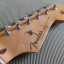 Mastil Fender stratocaster classic 50 RESERVADO