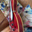Epiphone Century Inspired by 1966