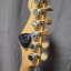 Fender stratocaster player deluxe SHH