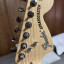Fender stratocaster american performer