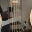 ESP LTD Phoenix 1004