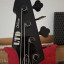 ESP LTD Phoenix 1004