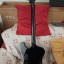 ESP LTD Phoenix 1004