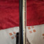 ESP LTD Phoenix 1004
