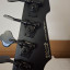 ESP LTD Phoenix 1004